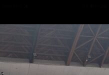 Destaques do Campeonato Internacional de Jiu-Jitsu da CBJJ em Curitiba