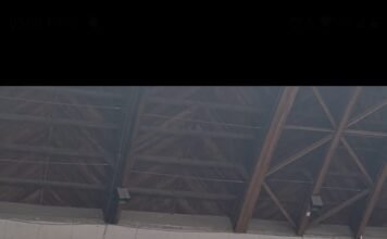 Destaques do Campeonato Internacional de Jiu-Jitsu da CBJJ em Curitiba